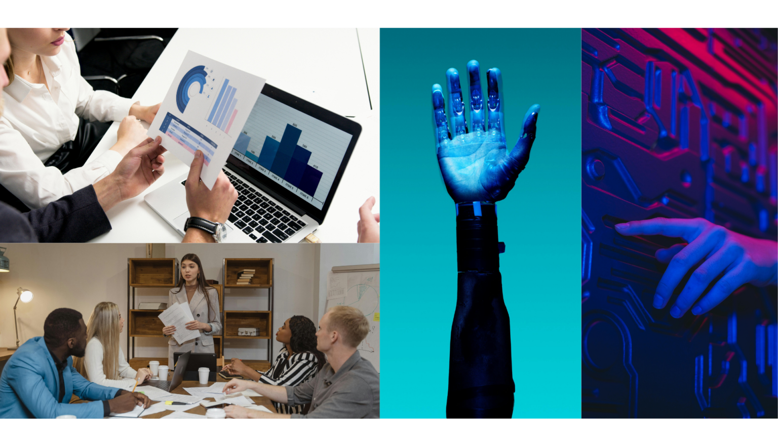 SSO Agency Portfolio Panorama